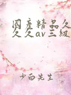 国产精品久久久久久av三级