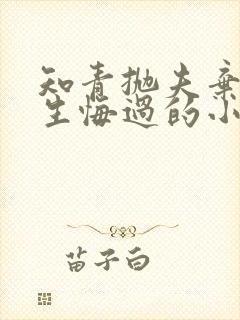 知青抛夫弃子重生悔过的小说