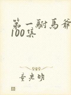 第一驸马爷1到100集