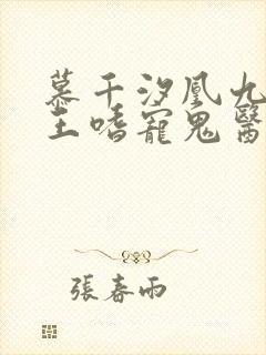 慕千汐凰九夜邪王嗜宠鬼医狂妃