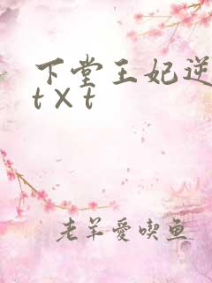 下堂王妃逆袭记t×t