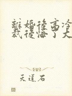 离婚后高冷女总裁后悔了大结局