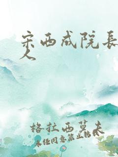 宋西成院长哪里人