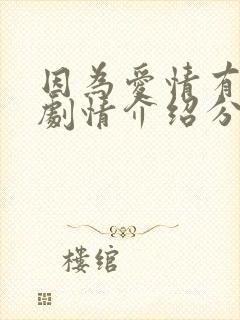 因为爱情有多美剧情介绍分集