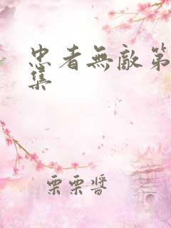 忠者无敌第14集