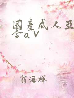 国产成人亚洲综合a∨