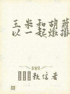 玉米和胡萝卜可以一起炖排骨汤吗