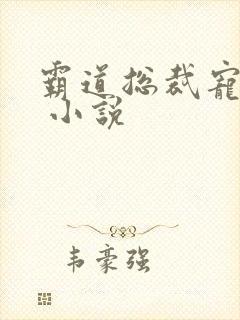 霸道总裁宠上天 小说