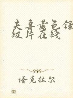 夫妻黄色录像一级片在线