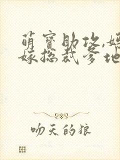 萌宝助攻,妈咪嫁总裁爹地大结局