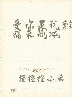 爱你是我难言的痛未删减