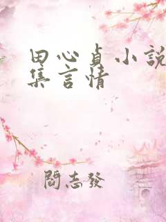 田心贞小说作品集言情