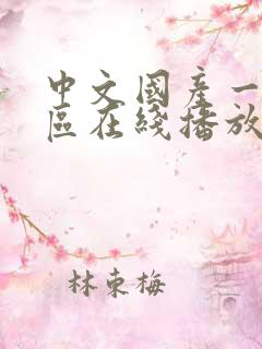 中文国产一区二区在线播放