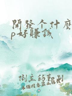 开发个什么app好赚钱
