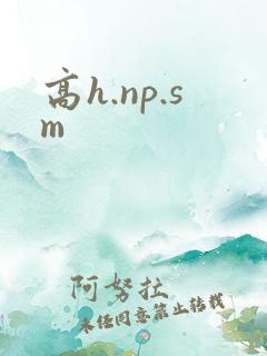 高h.np.sm