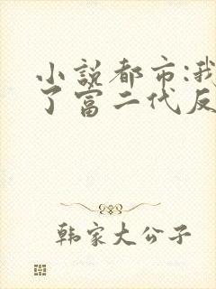 小说都市:我成了富二代反派小说