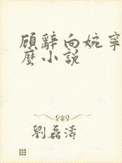 顾辞向婉宁是什么小说