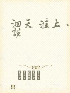 洄天 淮上 小说