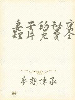 妻子的秘密网络短片免费全集剧情