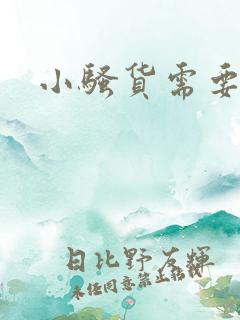 小骚货需要操