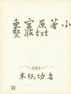 东宫原著小说完整版txt