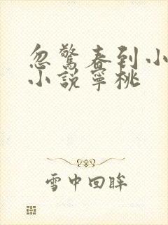 忽惊春到小桃枝小说宁桃