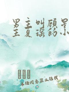 男主叫顾星熠女主夏瑶的小说