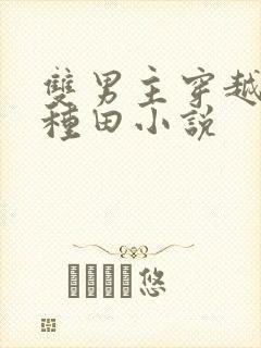 双男主穿越古代种田小说