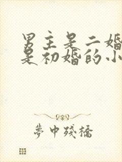 男主是二婚女主是初婚的小说