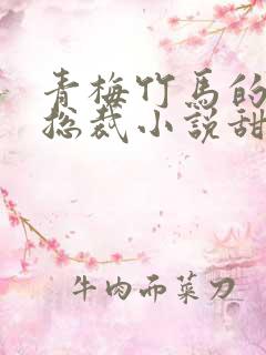 青梅竹马的霸道总裁小说甜宠文
