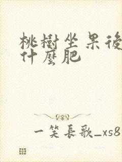 桃树坐果后要施什么肥