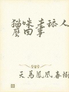 猫咪老舔人是怎么回事