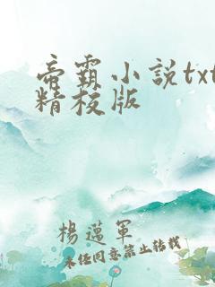 帝霸小说txt精校版