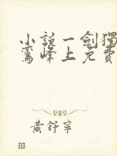 小说一剑独尊青鸾峰上免费