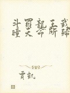 斗罗龙王武魂重瞳天命所归
