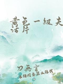 黄色一级夫妻生活片