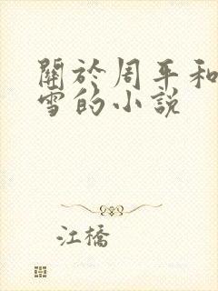 关于周平和林慕雪的小说
