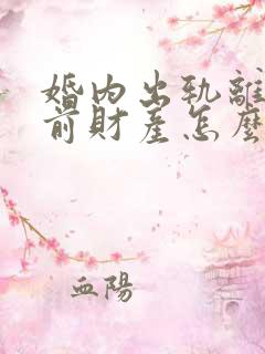 婚内出轨离婚婚前财产怎么分割