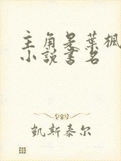 主角是叶枫都市小说书名