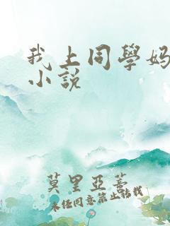 我上同学妈妈的小说