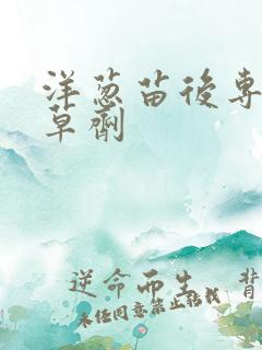 洋葱苗后专用除草剂