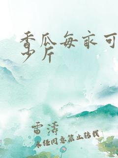 香瓜每亩可产多少斤