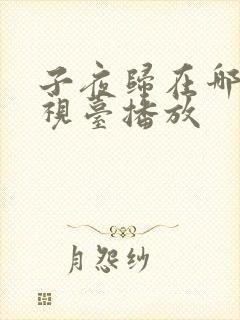 子夜归在哪个电视台播放