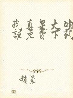 我真是大明星小说免费下载txt