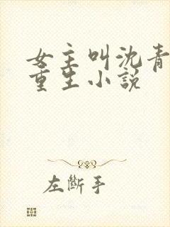 女主叫沈青鸾的重生小说
