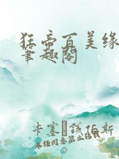 狂帝百美缘小说笔趣阁