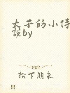 太子的小侍妾小说by