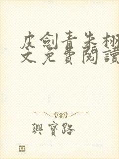 皮剑青朱栩诺全文免费阅读无弹窗