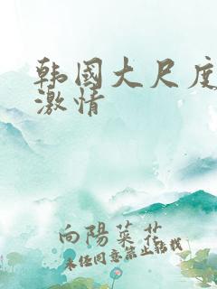 韩国大尺度床戏激情