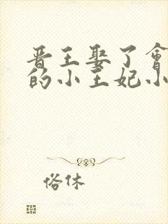 晋王娶了会画符的小王妃小说